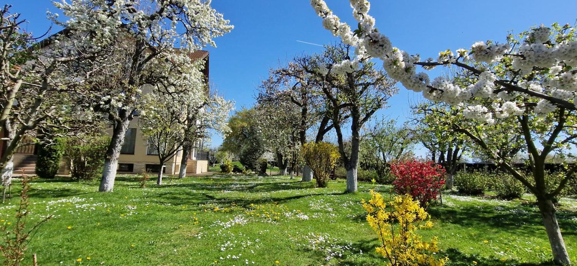 Stupina Hotel Braşov Eksteriør billede