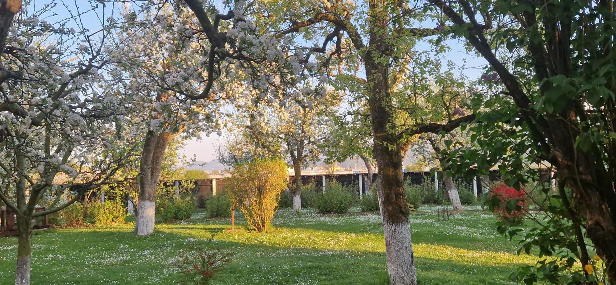 Stupina Hotel Braşov Eksteriør billede