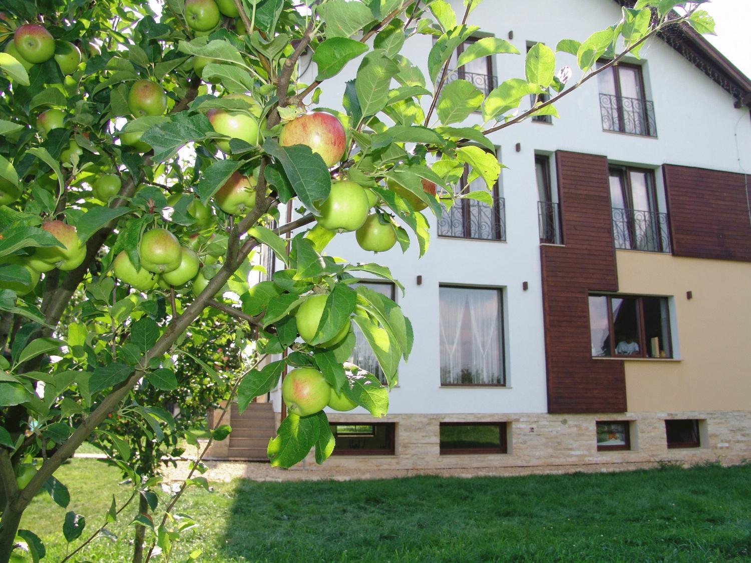 Stupina Hotel Braşov Eksteriør billede
