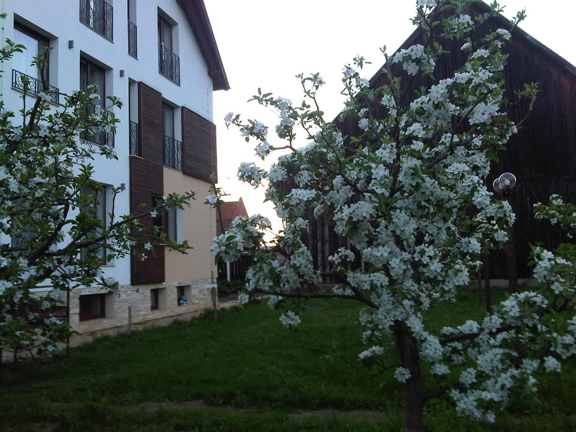 Stupina Hotel Braşov Eksteriør billede